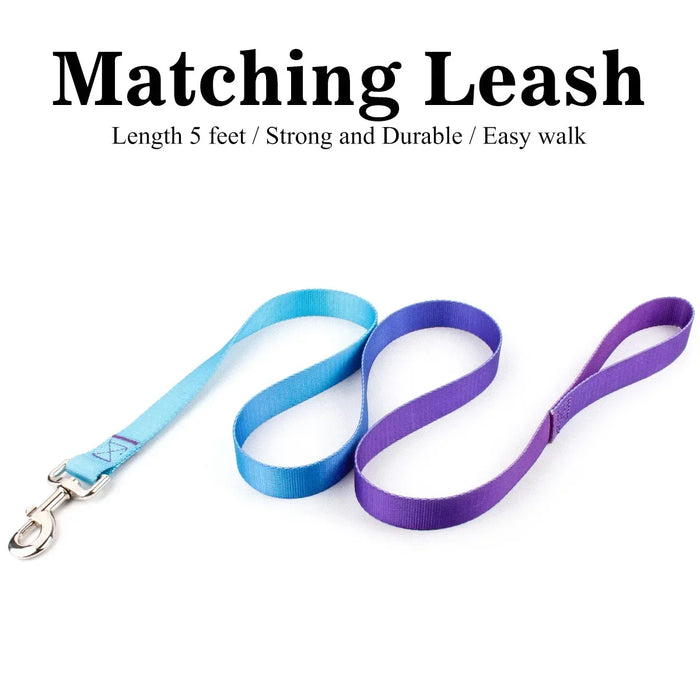 Pet Cat Dog Collar Traction Leash Suitable for Small Large Dogs Bulldog Pugs Beagle Nylon Adjustable Dog Collar Leash Lead