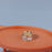 1Pc 1/12 Dollhouse Simulation Cat Can Mininature Cat Food Toy DIY Dolls House Home Decorations Kids Pretend Play Toys