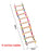Parrot Bird Toys Accessories Articles Parrot Bite Pet Bird Toy For Parrot Training Bird Toy Swing Ball Bell Standing