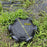 Black Fish Net Cage Fishnet Finless Eel Loach Trap Fishing Pot Durable Plastic Container Mud Cage Container Fishing Traps
