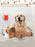 11 Halloween dog toys, plush dog toys with heartbeat, dog birthday gifts, rich dog educational toys, behavioral training aid toy