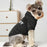 Dog clothes Pet clothes Popular fashion Hoodie Large, medium and small pet clothes Casual warm dog clothes security