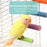 4/6/8 Step Bird Wood Climbing Ladder Pet Parrot Interactive Ladder Toy Fun Stick Climbing Toy Station Bar Birdcage Accessories