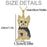 Exquisite Cute Yorkshire Pendant Necklace Women's Elegant Pet Puppy Jewelry Animal Accessories Birthday Gifts for Dog Lovers
