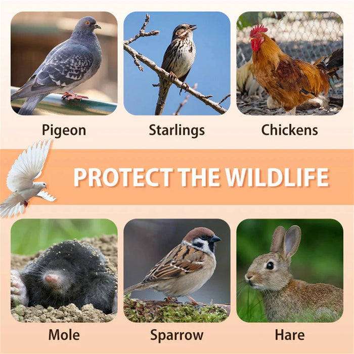 New Auto Trap Bird Cage Rabbit Cage Mouse Cage Entry Only and No Exit Thickened and Encrypted Automatic Pigeon Collecting Tool