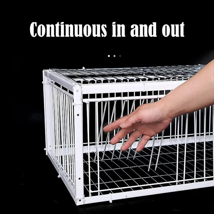 Auto Trap Bird Cage Rabbit Cage Mouse Cage Entry Only No Exit Thickened Encrypted Automatic Pigeon Collecting Portable Bird Cage