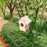 Wooden Mini Bird Cage Outdoor Hanging Birdhouse Box DIY Painting Blank Wood Garden Bird Cages Yard Decoration Bird Parrot Nest