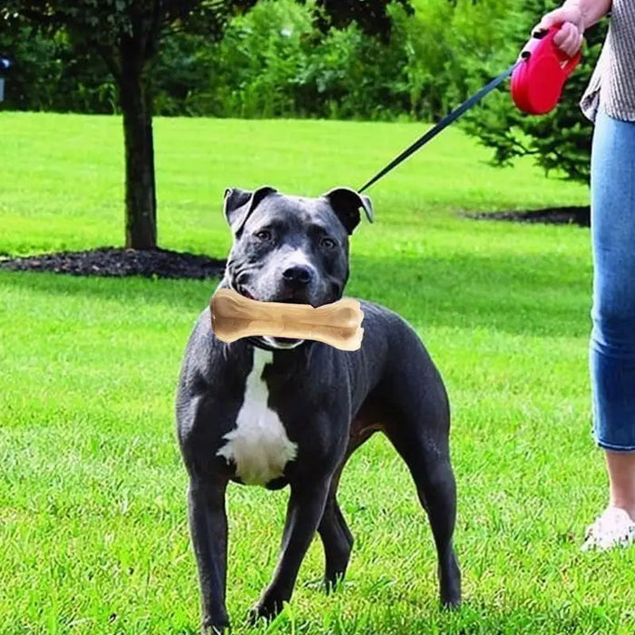 Beef Flavor Puppy Chew Bone Non-Toxic Puppy Toys Cowhide molar bone Puppy Treats Supplies Cleaning Teeth Healthy Snacks Edible