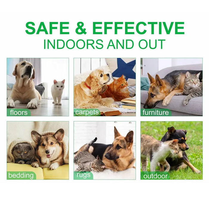 60ml Pet Pest Spray Pet Dog Anti-flea Mites Ticks Drops Kitten Pest Treatment Treatment Flea Puppy Kitten Puppy Spray M2n1