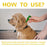 1pcs Dogs And Cats Anti Flea Drops Lice Remove Relieve Skin Itching External Insect Repellent Supplies Pet Tick Treatment Drops