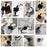 Dog Clothes for Small Dogs Summer Dog T-Shirt Pet Dog Skirt Black White Retro Dresses Puppy Costume Chihuahua Clothing