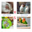 Bird with feather auxin, bird moulting, pecking, broken feather, bird without feathers, jade bird, thrush, parrot