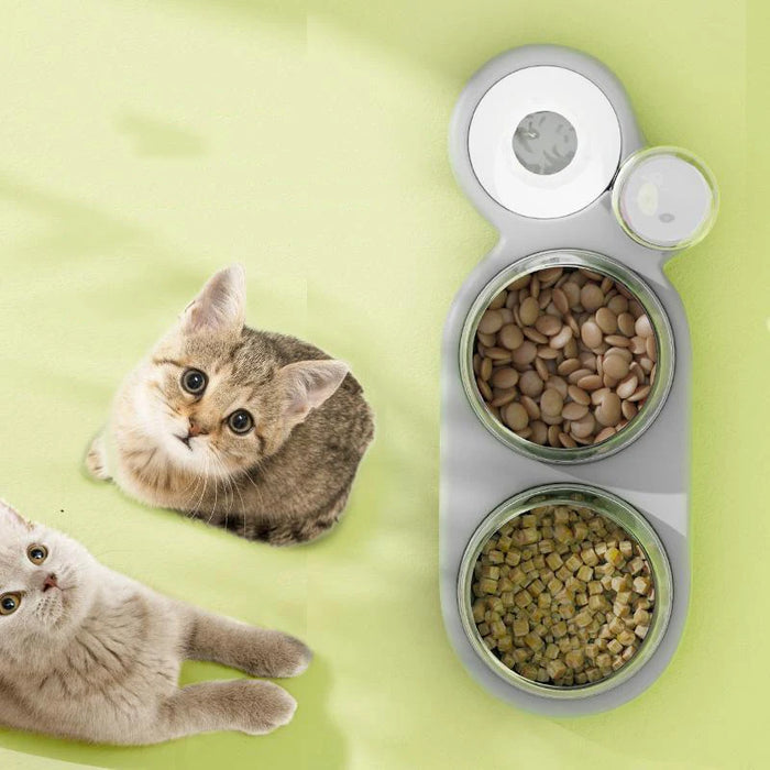 Cats Double Bowls Water Automatic Feeder Raised Stand For Cats Pet Drinking Fountain Food Dispenser Bowl Pet Products