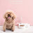 Double Dog and Cat Bowl-Pet and Food Bowl Set with, Pet Feeding Bowl Suitable for Cats and Small Dogs