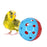 Bird Toy Ball with Bird Raising Supplies Pets Training Equipment Parrot Chewing Toy Christmas Gifts for Bird Lovers