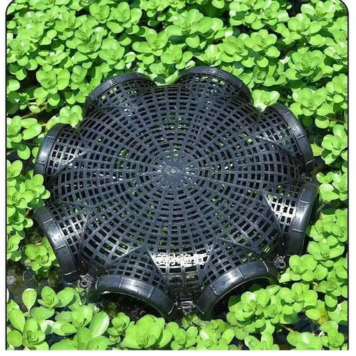 Black Fish Net Cage Fishnet Finless Eel Loach Trap Fishing Pot Durable Plastic Container Mud Cage Container Fishing Traps