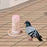 Automatic Bird Feeder Parrot Water Dispenser Parakeets Budgie Cockatiel Feeding Bowl for Finch Foraging Feeders