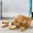 Dog Birthday Cake Toy Soft Plush Squeaky with Colourful Candles Durable Funny Stuffed Chew for Large Breeds Birthday Gift scarf