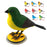 Simulation Electronic Bird Toys for Kids Electric Singing Bird Toy Cute Interactive Bird Toy with Motion & Sound Control