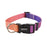 Pet Cat Dog Collar Traction Leash Suitable for Small Large Dogs Bulldog Pugs Beagle Nylon Adjustable Dog Collar Leash Lead