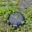 Black Fish Net Cage Fishnet Finless Eel Loach Trap Fishing Pot Durable Plastic Container Mud Cage Container Fishing Traps