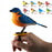 Simulation Electronic Bird Toys for Kids Electric Singing Bird Toy Cute Interactive Bird Toy with Motion & Sound Control