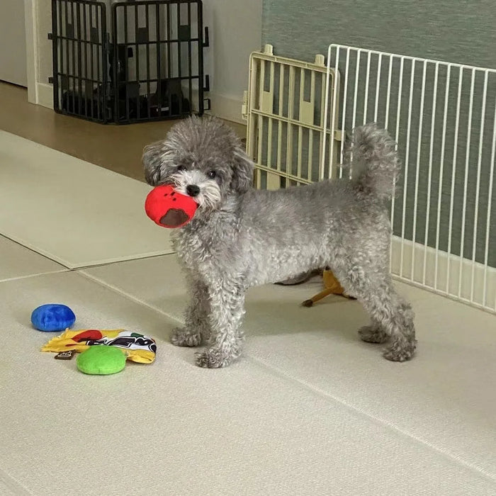 Dog Toys Encourage Natural Foraging Skills Slow Feeder for Training and Stress Relief, Cloth Strip Hiding Food Chew Toys for Any