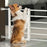 Indoor Dog Gate Retractable Freestanding Fence Nail-free Household Reusable Door For Small Medium Dogs Puppy Fence Pets supplies