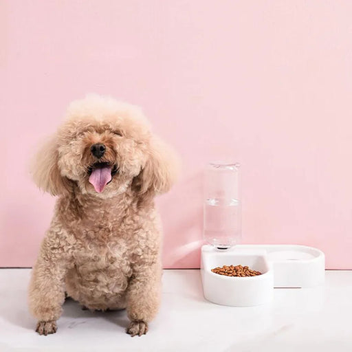 Dog Bowl Cat Feeder Bowl With Water Bottle Automatic Drinker Feeding Bowl Save Space Dog Bowl Cat Bowl Pet Supplies