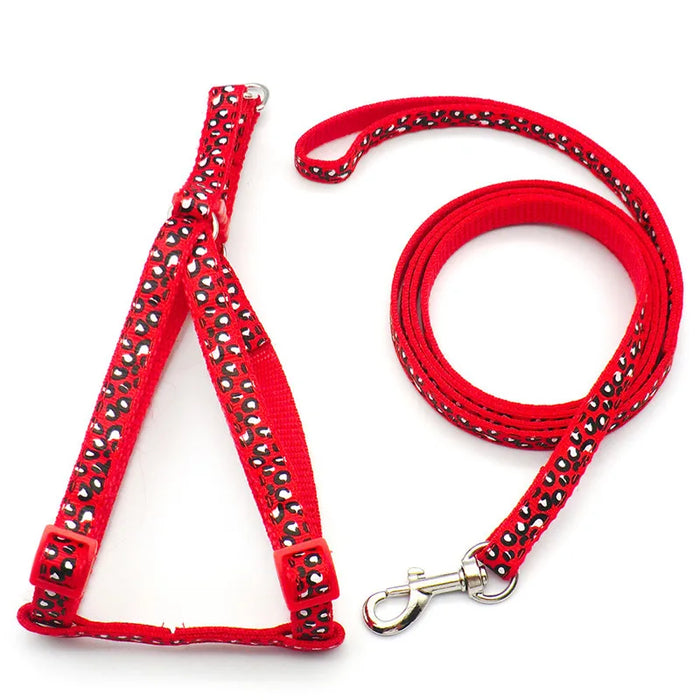 Fashion Small Dog Cat Harness Leash Adjustable Vest Collar Puppy Outdoor Walking Chihuahua Terrier Schnauzer Dogs Accessoires