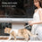 Cat Harness And Leash Set For Walking Kitten And Cats Escape Proof Kitten Harness With Breathable Lightweight Soft Mesh