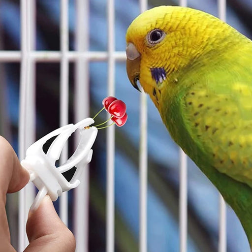 6pcs Bird Cage Accessories Birds Vegetable Clip Food Rack Parrot Clip Bird Thumb Box Bird Fruit Fork Bird Egg Holder Tray
