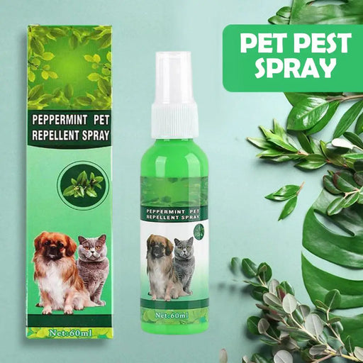 60ml Pet Pest Spray Pet Dog Anti-flea Mites Ticks Drops Kitten Pest Treatment Treatment Flea Puppy Kitten Puppy Spray M2n1
