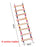 Parrot Bird Toys Accessories Articles Parrot Bite Pet Bird Toy For Parrot Training Bird Toy Swing Ball Bell Standing