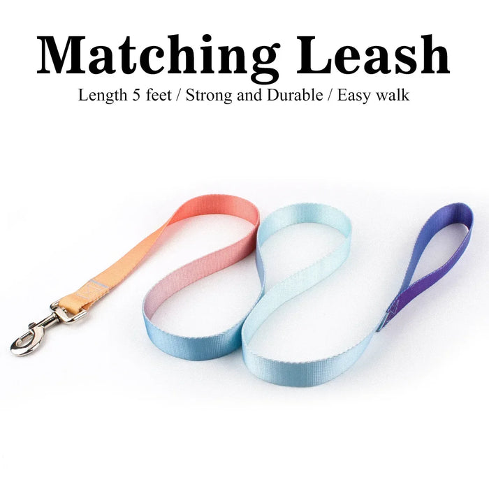 Pet Cat Dog Collar Traction Leash Suitable for Small Large Dogs Bulldog Pugs Beagle Nylon Adjustable Dog Collar Leash Lead