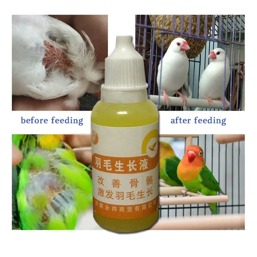 Bird with feather auxin, bird moulting, pecking, broken feather, bird without feathers, jade bird, thrush, parrot