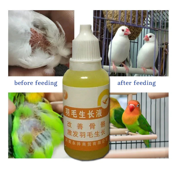 Bird with feather auxin, bird moulting, pecking, broken feather, bird without feathers, jade bird, thrush, parrot