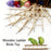 1pc Parrot Toy Wooden Bird Climbing Ladder, Parrot Bird Cage Supplies, Solid Wood Stand Climbing Ladder,Hamster ladder