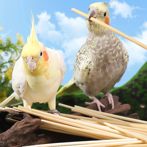 3/100g Ball Bird Toy Natural Pet Parrot Bite Toys Budgies Cockatoo Parakeet Cockatiels Lovebird Cage Teething Toy Nest Decor ﻿