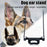 Dog Supplies Puppy Ear Care Tools Ear Stand Up Sticker Dog Ear Stand Fixed Support Tool For Doberman Assist Erected Ear Too I8F7