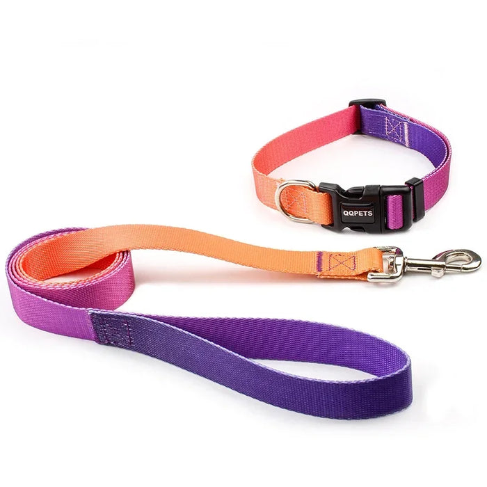 Pet Cat Dog Collar Traction Leash Suitable for Small Large Dogs Bulldog Pugs Beagle Nylon Adjustable Dog Collar Leash Lead