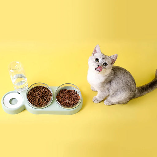 Cats Double Bowls Water Automatic Feeder Raised Stand For Cats Pet Drinking Fountain Food Dispenser Bowl Pet Products