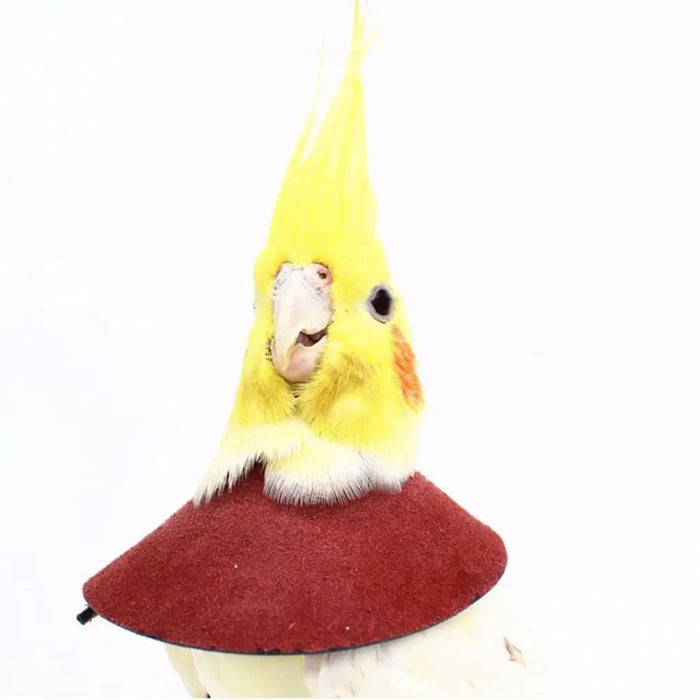 Anti-peckin Bird Accessories Anti-bite Adjustable Bird Recovery Collar Parrot Elizabethan Circle Bird Neck Sleeve Bird Cloak