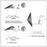 Wild Bird Feeder Hanging with Roof for Garden Yard Outside Decoration Outdoor Feeding Tool Squirrel proof Seed Nut Container