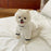 Winter Warm Pet Dog Clothes Fashion Cotton Dog Clothes Costume Small French Bulldog Print Spring Autumn Gary Boy Mascotas