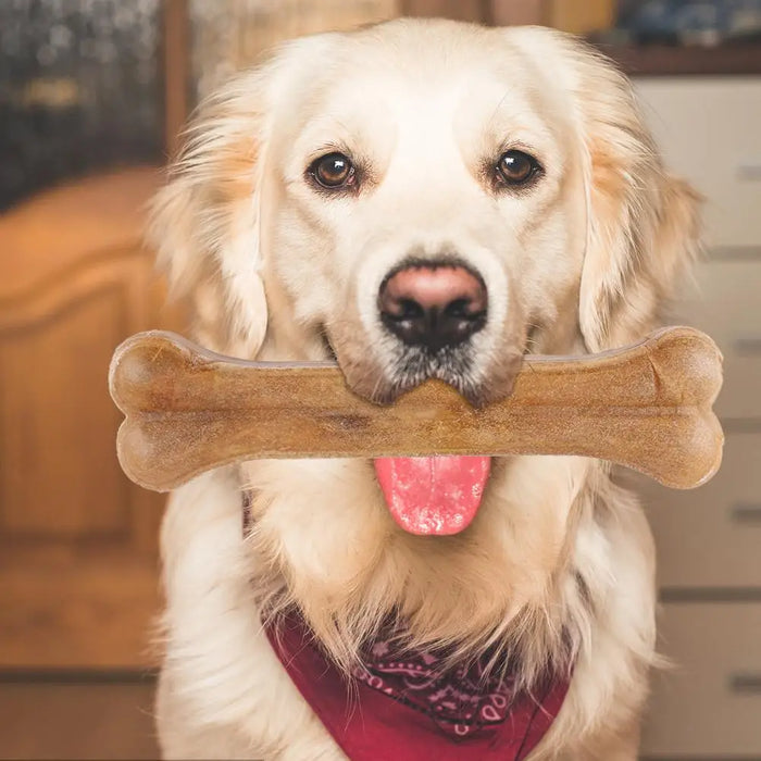 8 Inch Cowhide Bone Non-Toxic Creative Dog Chews Toys Anti-bite Leather Chew Bone Indestructible for Small Medium Large Dog