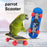 Bird Playtime Accessory Flexible Wheel Parrot Scooter Mini Skateboard Toy for Budgies Parakeets Fun Bird Training Accessories