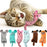 Cute Cat Toys Funny Interactive Plush Cat Toy Mini Teeth Grinding Catnip Toys Kitten Chewing Mouse Toy Pets Accessories