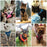 Cat Harness Adjustable, Escape-Proof Breathable Mesh with Reflective Vest  5-Foot Leash - Safe, Durable Outdoor Adventures