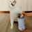 Dog Paw Cleaner Automatic Pet Foot Paw Washer Electric Paw Massager USB Cable Operated for Small Medium Dogs Cats